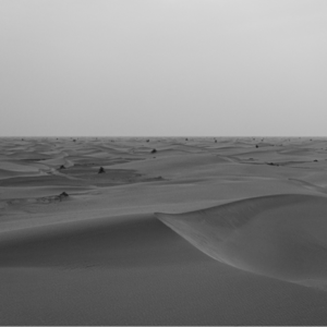 刚聊完隐入尘烟 就连尘烟也看不见了 【六根不净】 Vol. 019