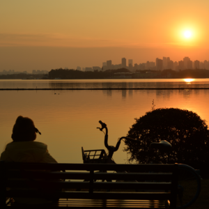 一只不爱睡觉的小猪