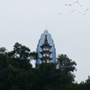 001 | 关于温州中转的10小时