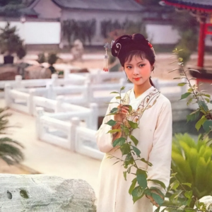 薛宝钗的粉丝为什么“百家争鸣”？”