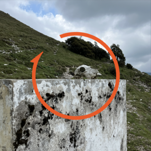 Vol.67 对话陈楸帆：AI 越发展，人类越需要萨满？