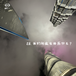 28. Solo｜我们究竟在经历什么？