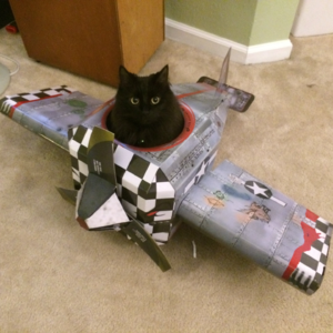 加中间航班缘何还是“五个一”状态？