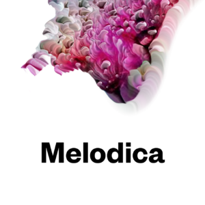 Melodica.2024.01.29