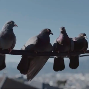 Vol.22 小镇青年的归乡路:“我从未后悔回到家乡”