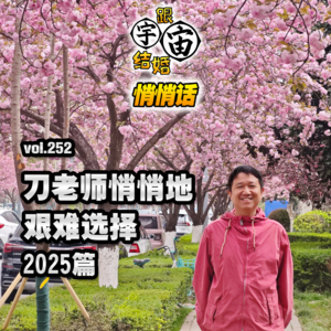 vol.252 刀老师悄悄地艰难选择 2025篇