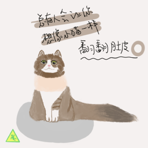 037 总有人会让你想像小猫一样翻翻肚皮