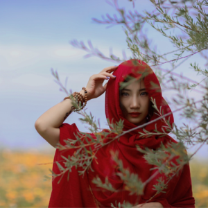 占卜师坦白局