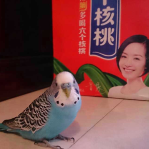 S2E4 信：你是阳光、是开心果，亦是家人