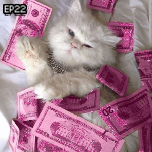 EP22 办卡型人格(上): 淦!办完卡就不用了是怎么回事!?