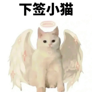 IRCC教给我的一堂课