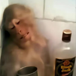 Ep28. 我真的好讨厌健康生活，健康不动了