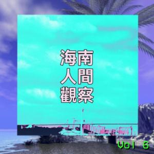 Vol.6 齿轮物语(上):海南人间观察