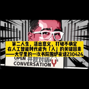 第二人生，活出意义，打破不确定，在AI时代人如何成为「人」- 063