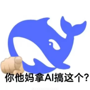 VOL40：如果你觉得心理医生太贵，不如找DeepSeek聊聊