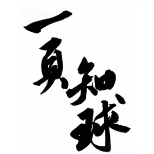 Vol1.盘点历史上被偷走的金球