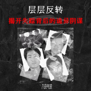 003.你杀他，他杀我，我杀你，层层反转揭开失踪背后的诡异阴谋