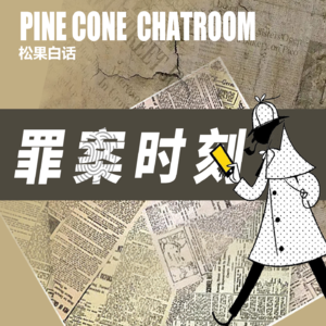 07.罪案时刻 | 被网民目击的惨案：基督城枪击事件