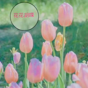 终于熬过儿童节啦！