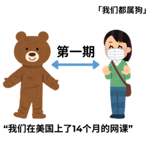 1. 我们在美国连续上了14个月的网课