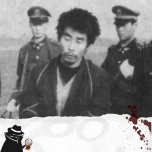 vol.012 多名少女被奸杀、下体被烧毁，凶手落网只因人群中多看了一眼