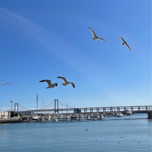 #8 “鹿子女士去看心理医生”