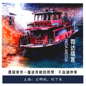 112. 撞进夜晚的雨雾：3.31千岛湖惨案|回馈听友之点播案件