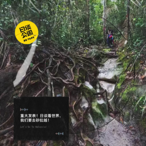 重大发表！日谈看世界，我们要去砂拉越！