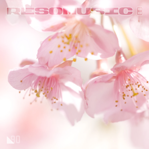 春日疗愈歌单：感受樱花绽放在耳畔