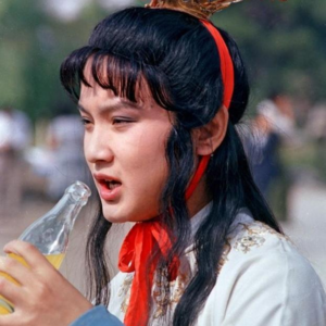 Vol.002 贾宝玉为什么也恐婚？