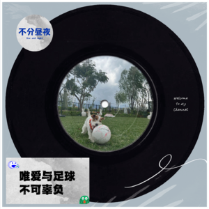 vol.20 唯爱与足球不可辜负