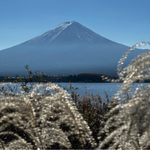 E11 新年快乐，重要的是生活，跟蔺さん聊聊日本野营