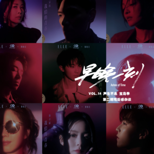 Vol.14 声生不息 宝岛季第二期观后感及杂谈