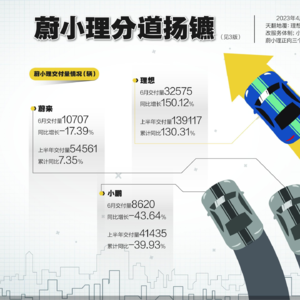 比一比，蔚小理