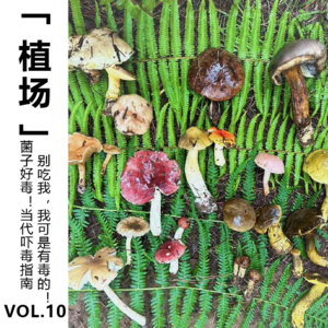 Vol.10【植场】菌子好毒！当代吓毒指南：别吃我，我可是有毒的！