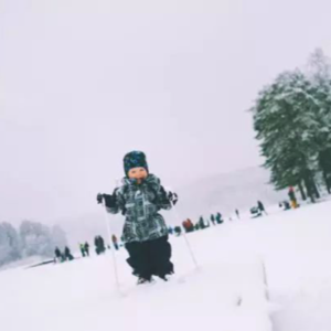 0元奖金 20220209｜#40