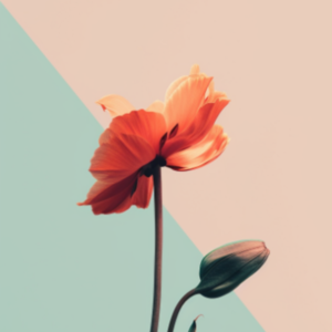 Vol.14 闲聊，最近用AI做了啥以及怎么想的