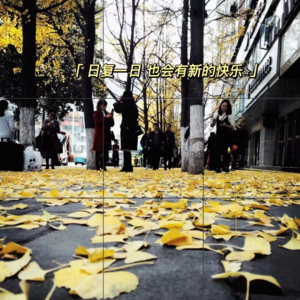 EP6: 天凉好个秋，这季节的记忆拼图还缺一块呢！