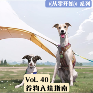 Vol.40 从零开始的养狗入坑指南：听过这些坑，养狗不踩坑！