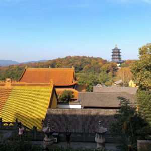 书接上回年度回顾,心已经在神气活现的龙年