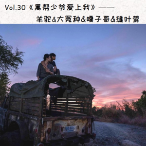 Vol.30《黑帮少爷爱上我》羊驼&大冤种&嘎子哥&缝叶莺