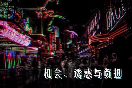 机会、诱惑与负担