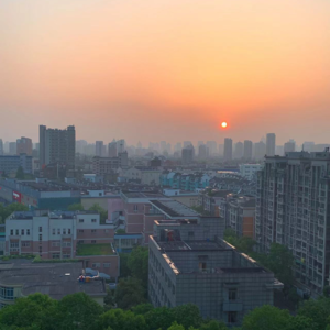 发尾粘着一朵小花回家