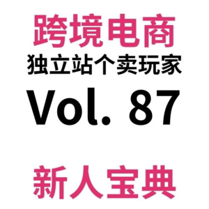 Vol87.手把手教你跨境电商独立站SEO第六期：沉浸式第一视角完成On-Page站内SEO优化！
