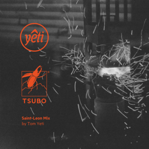 Saint-Léon Mix by Tom Yeti