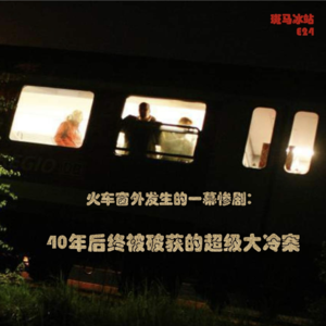 E24 火车窗外发生的一幕惨剧：40年后终被破获的超级大冷案
