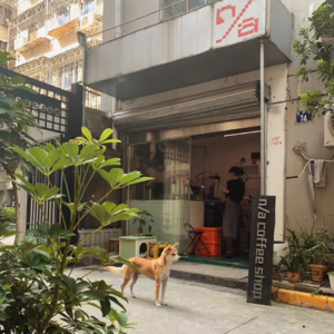 这样的时刻,谁能抗拒不走过去.