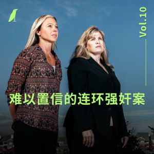 010 难以置信的连环强奸案（上）