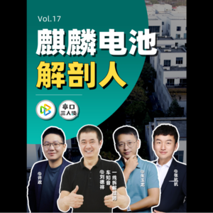 EP.17 小二十万，直接拆散 | 极氪009 麒麟电池拆解的故事