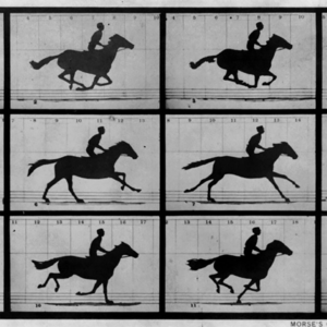 01.开播客，都是baby的